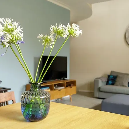 Casas Da Formiga - Riverview Terrace And Pool Apartment